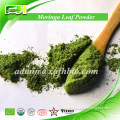 Supply Best Price Moringa Leaves Powder,Moringa Leaves